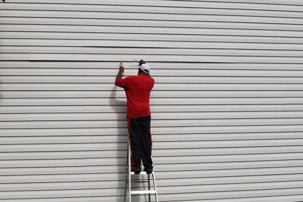 Best Vinyl Siding Installation  in Black Canyon City, AZ