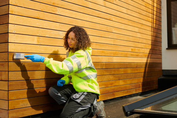 Best Siding for New Construction  in Black Canyon City, AZ