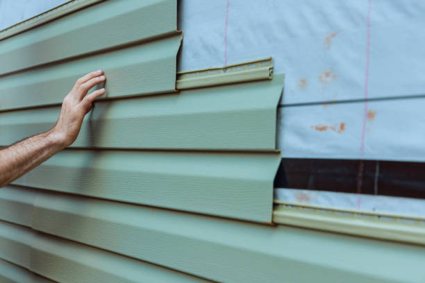 Best Siding Painting and Refinishing  in Black Canyon City, AZ